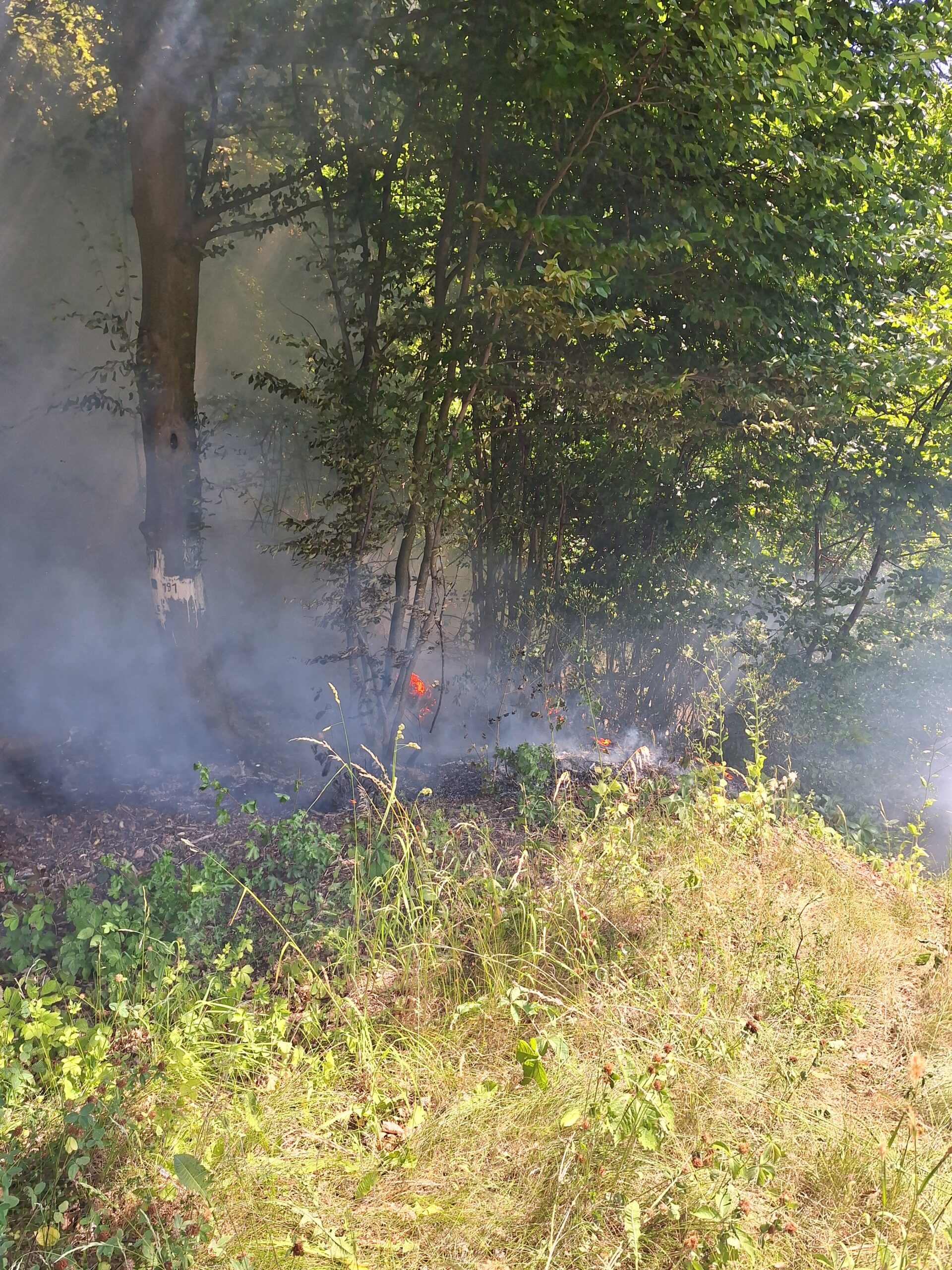 B2 – Vegetationsbrand