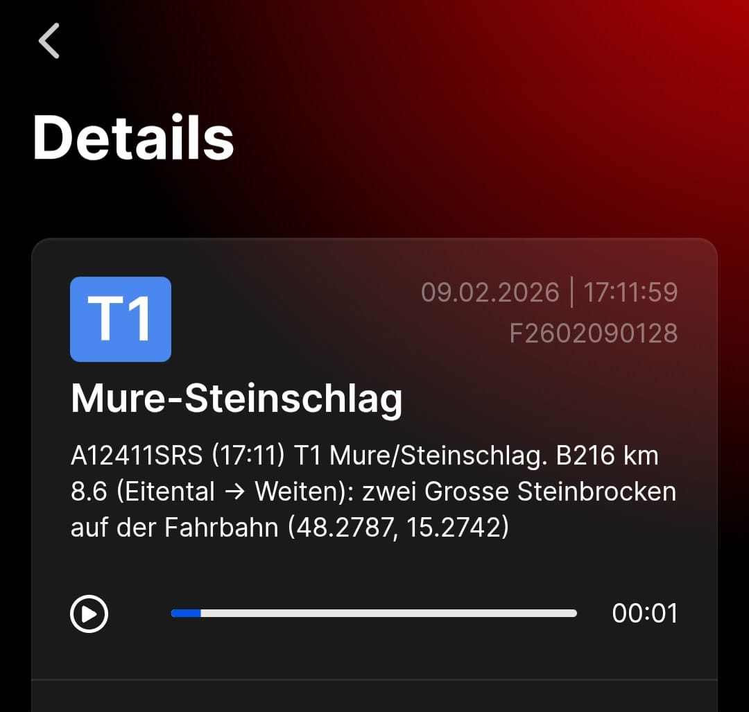 T1 Mure-Steinschlag