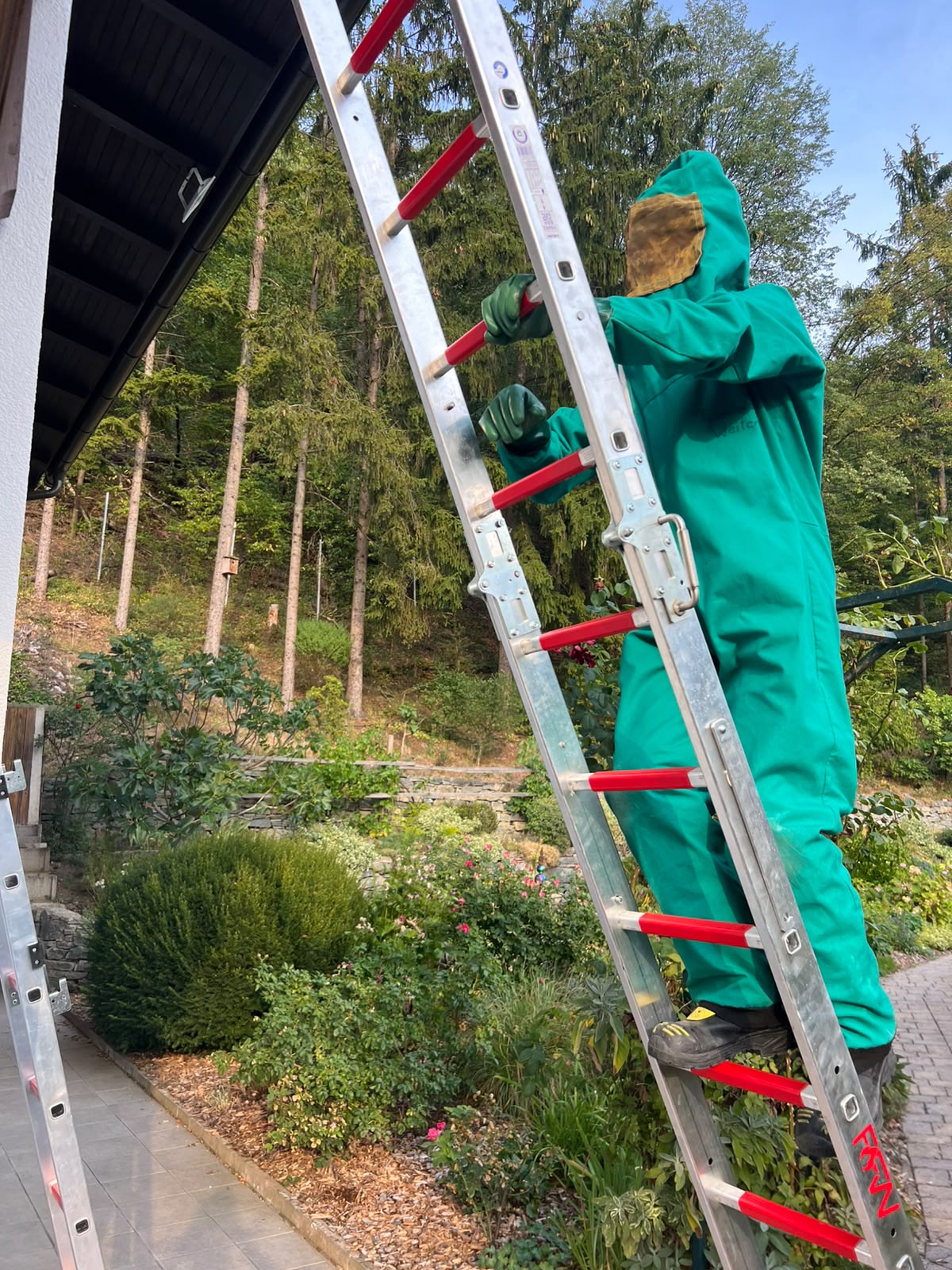 Erneute Insekteneinsätze
